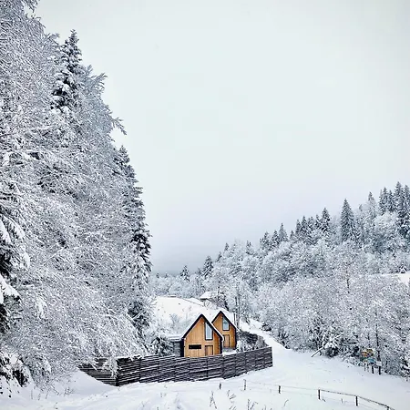 Alpstuga Bagriwood Jaremtje