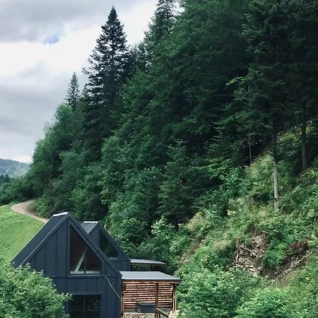 Domek alpejski Bagriwood *