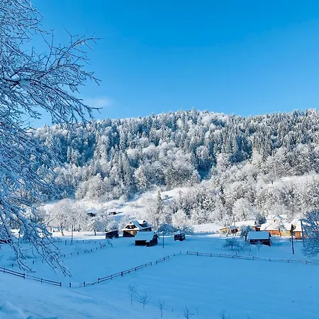 Chalet Bagriwood Yaremche