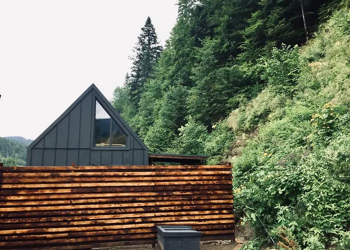 Chalet Bagriwood *